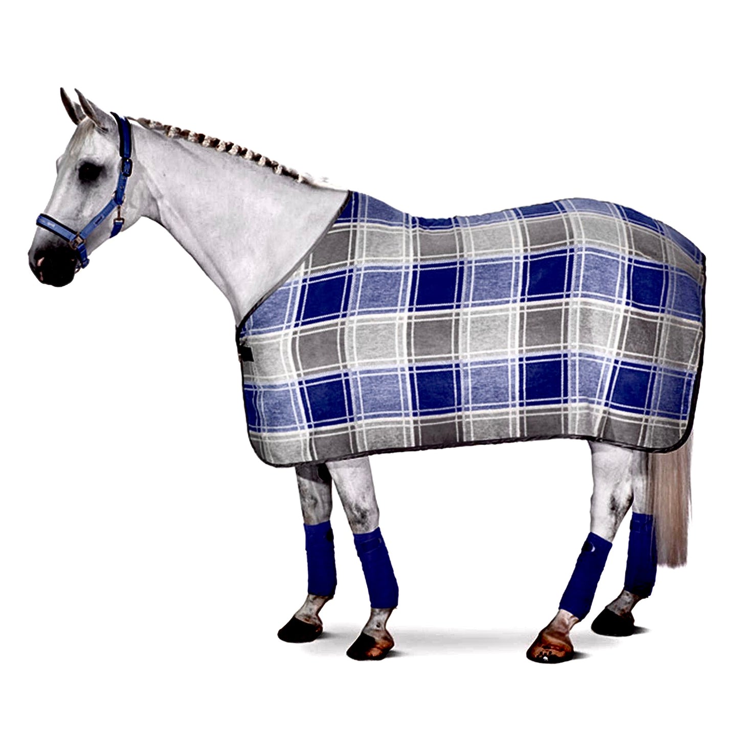 Cooler en laine Eskadron