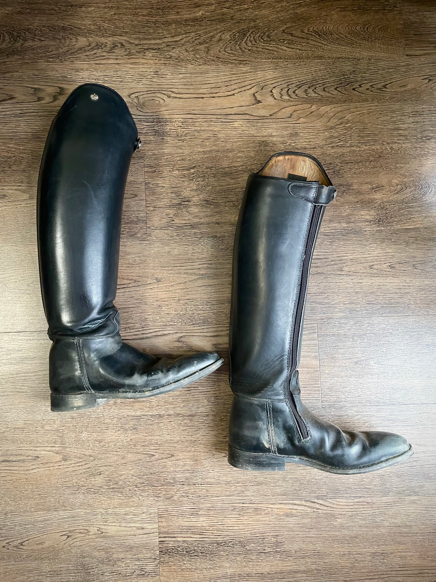 Bottes dressage KÖNIGS gr. 39