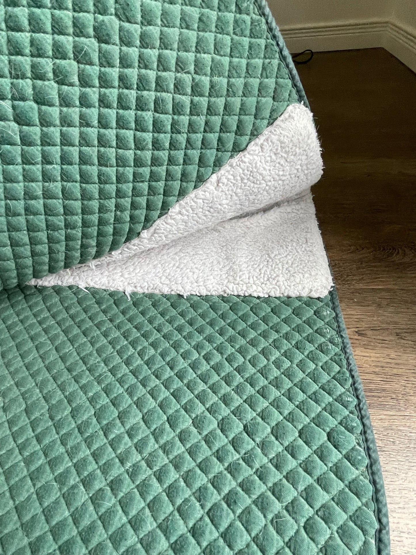 Tapis dressage vert