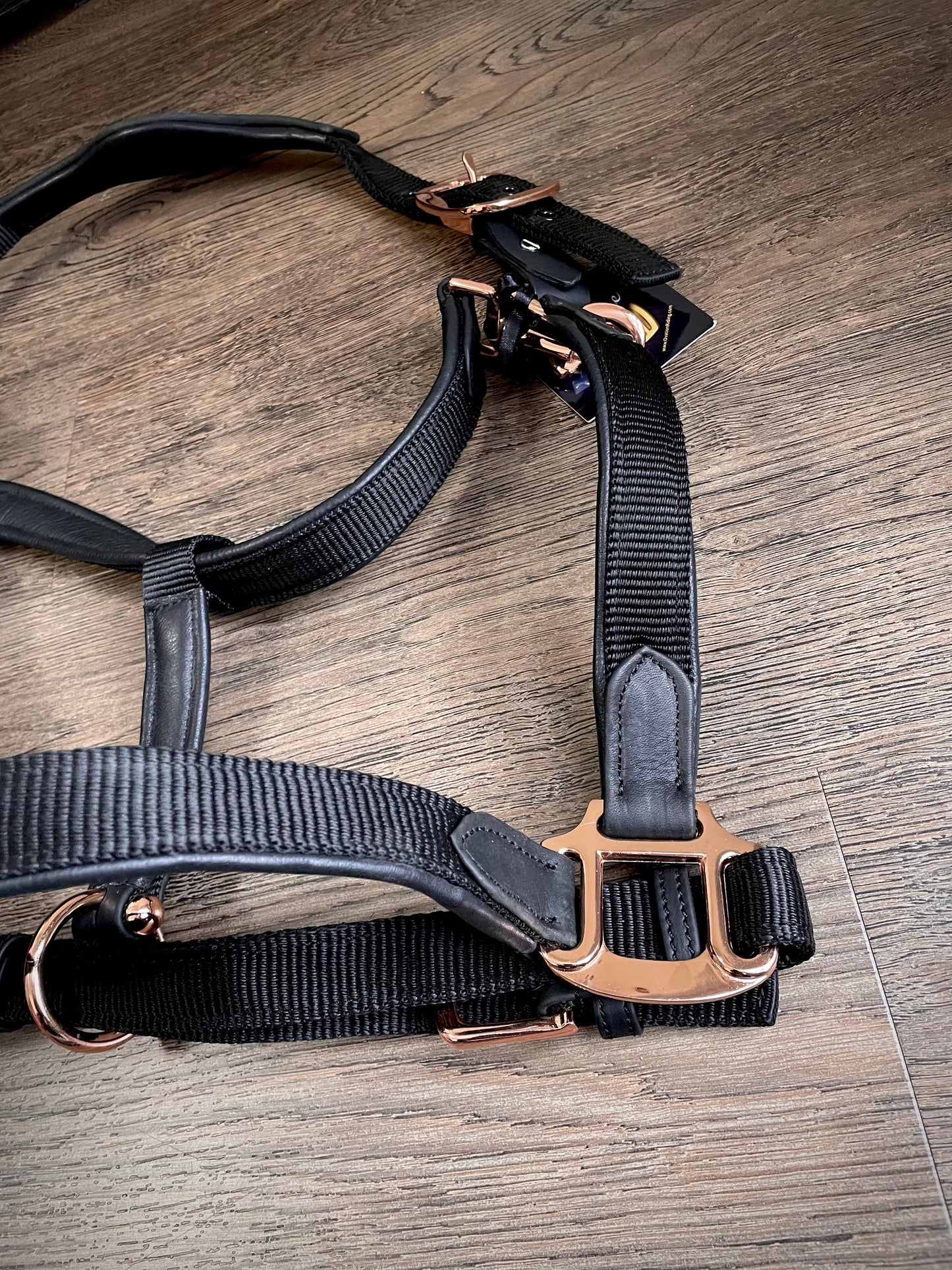 Licou Ovation Luxor Noir/Rose gold (WB)