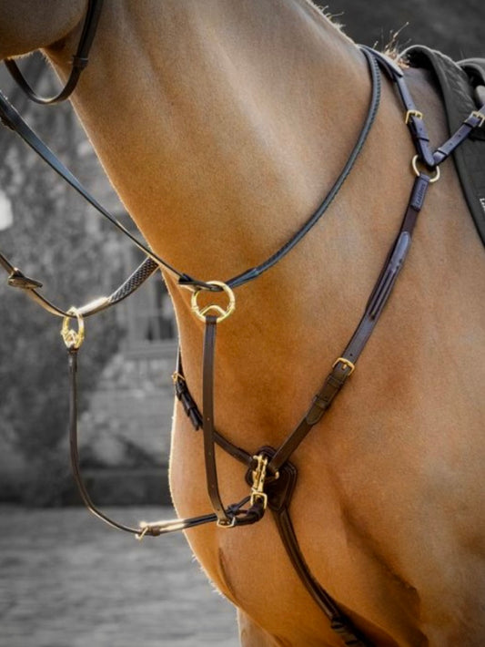 Collier 3 points LEMiEUX gr.Full/Cheval