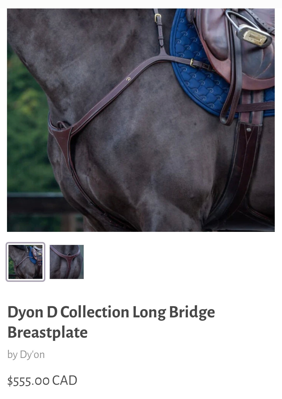 Dy’on long bridge breastplate