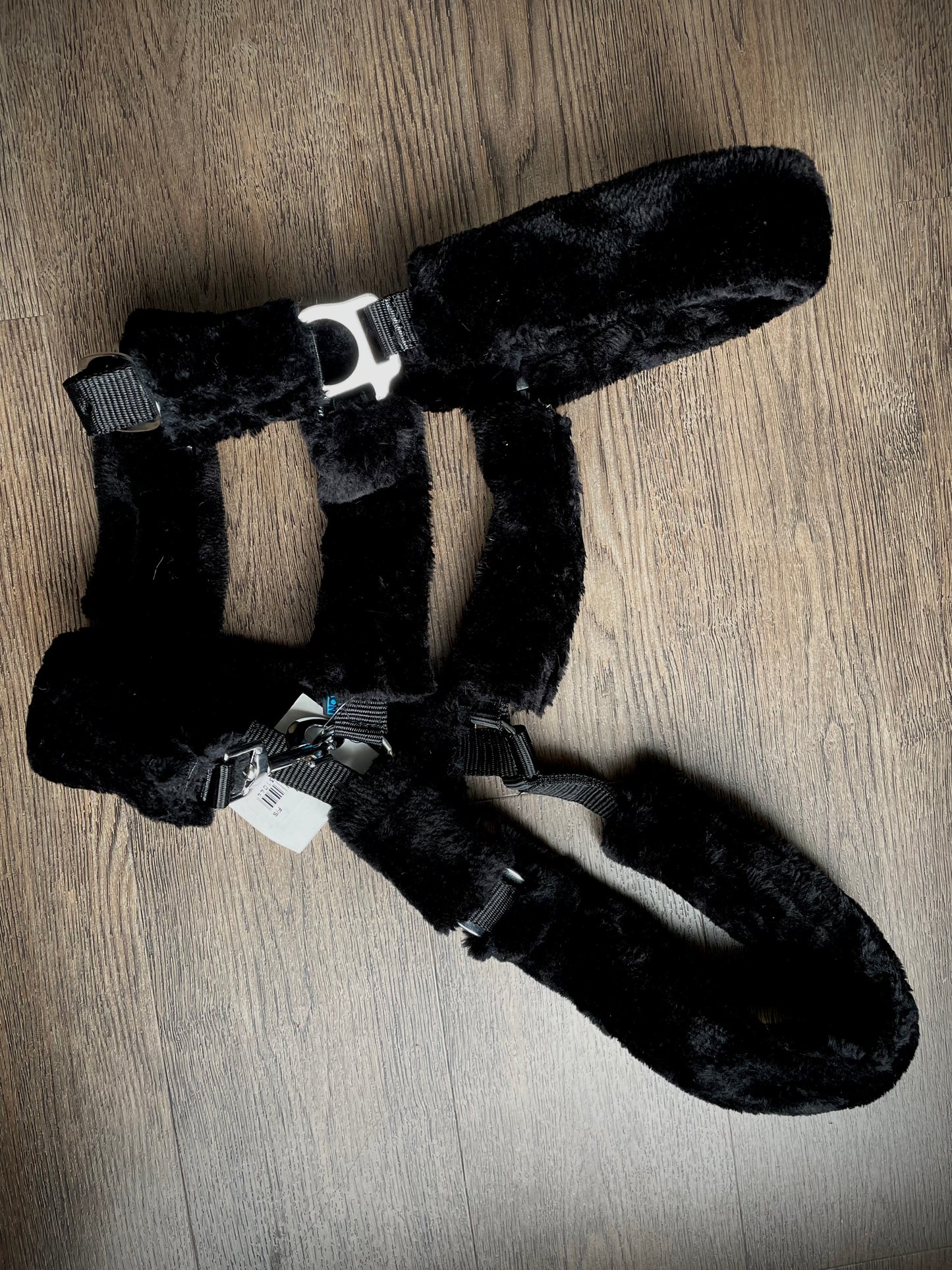 Licou *NEUF* gr. Full/cheval
