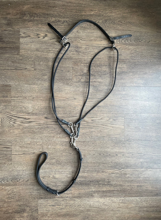 Enrênement De Gogue martingale