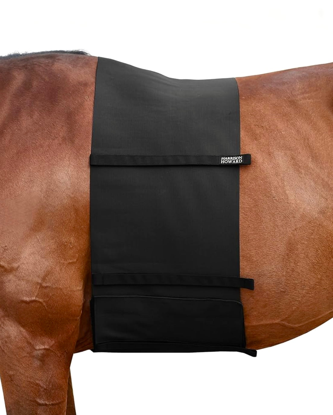 Belly guard gr. Large