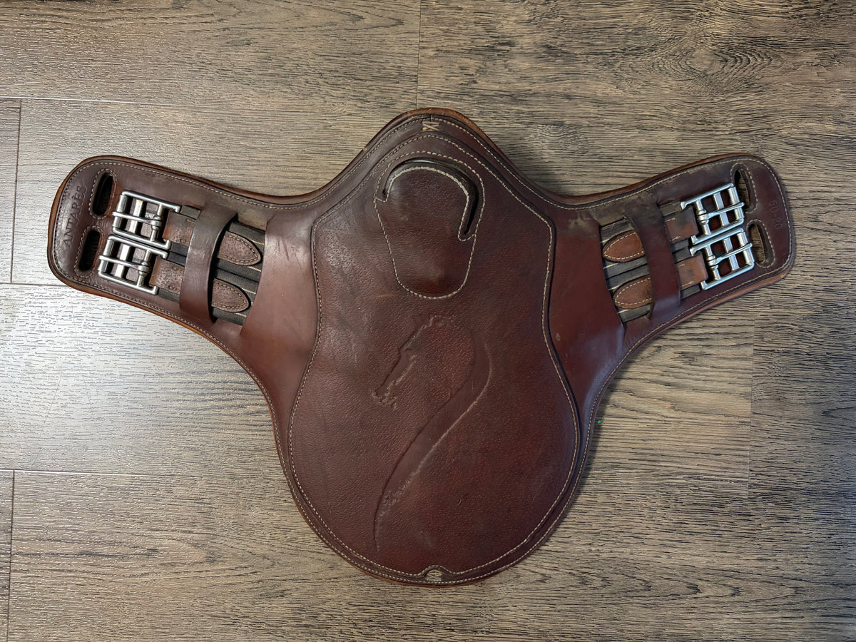 Sangle bavette Antarès gr. 20"